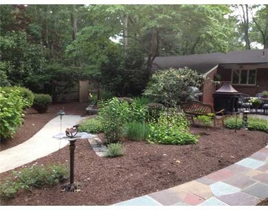 Yard/Garden.