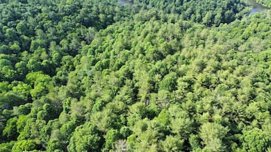 0 Island Ford Rd, Laurel Springs, NC 28644 - photo 6