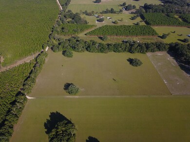 1178 W Jordan St, Fort White, FL 32038 - photo 7