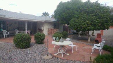Back Yard (2)