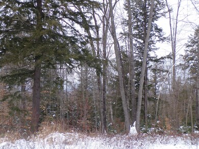 fryeburg202012