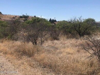 Lot 598 Bentley trees