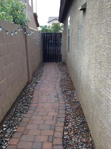 Back yard