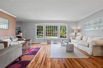 Living room featuring hardwood / wood-style floors, ornamental molding, and a textured ceiling