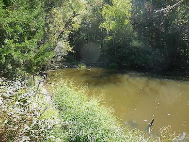 30 Acres Parker Branch Rd, Winslow, AR 72959 - photo 4