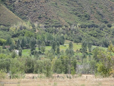 Hoagland Ranch Lot Trees