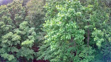IMG_20250709_1704028