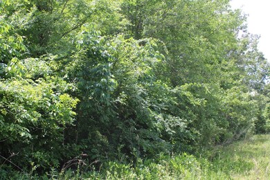 0 Fm 2497 unit 62476, Hudson, TX 75904 - photo 7