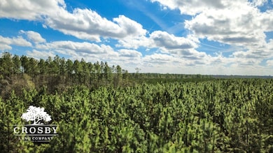 0 Cecil Nobles Hwy unit 22674528, Ludowici, GA 31316 - photo 3