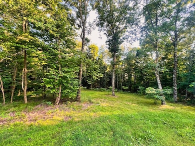 3202 Lego School Rd, Linden, TN 37096 - photo 5