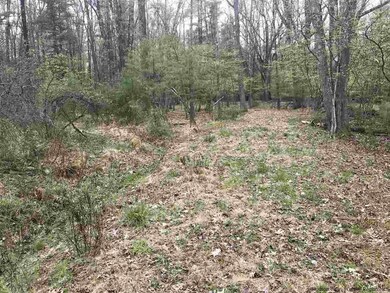 60 Lawrence Hill Rd, Rochester, NY 12404 - photo 2