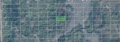 0 Dill Rd unit MFRO6271696, Orlando, FL 32820 - photo 2