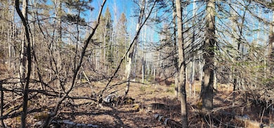 View of nature