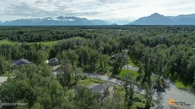 Drone of Large Lot
