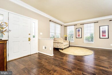42705 Newcomer Terrace, Chantilly, VA 20152 - photo 4