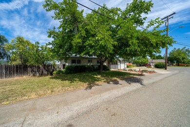 Nice shade tree