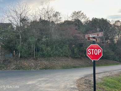 272 Ootsima Way, Loudon, TN 37774 - photo 4