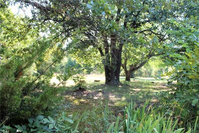 13720 Green Rd, West Fork, AR 72774 - photo 4