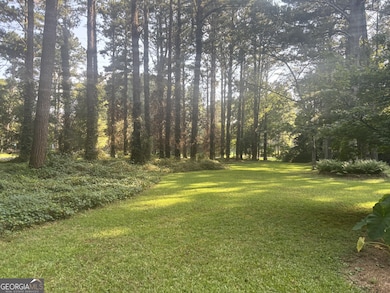 230 White Rd, Fayetteville, GA 30214 - photo 3