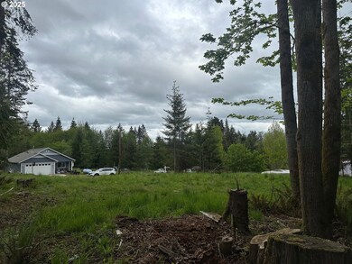 0 Ave unit 439855536, Vernonia, OR 97064 - photo 6