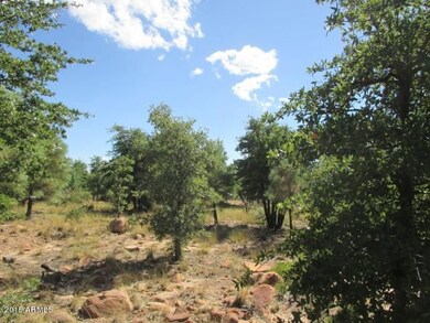 Photo 06