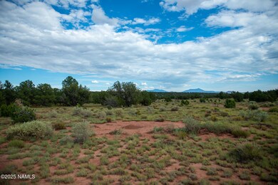 7536 Hawkeye Cir, Williams, AZ 86046 - photo 5