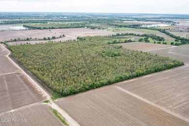 2-web-or-mls-DJI_0755