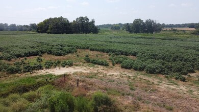 4994 Freeman Rd, Blakely, GA 39823 - photo 4