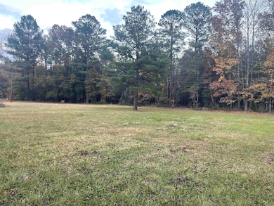 690 Ashley Road 71, Hamburg, AR 71646 - photo 2