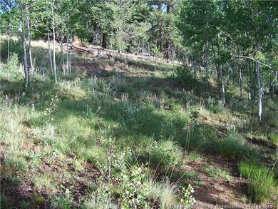 Land/Lot.
