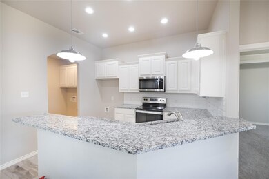 3315 Arrow Creek Dr, Granbury, TX 76049 - photo 6