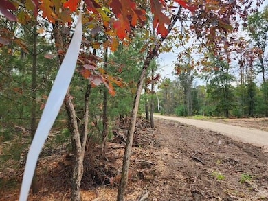Parcel R W 12th St, Webber Township, MI 49304 - photo 3