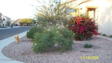 front yard 2