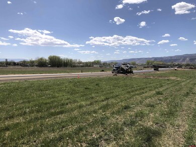1217 (Lot 5) Lazy v Ln, Fruita, CO 81521 - photo 4