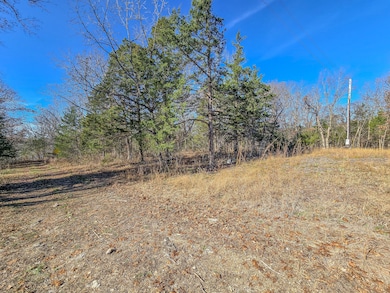 000 County Road 292a, Pittsburg, MO 65724 - photo 2