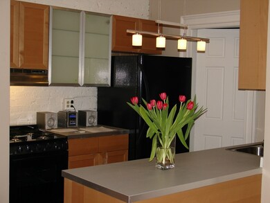 25 E Concord St unit 3, Boston, MA 02118 - photo 3
