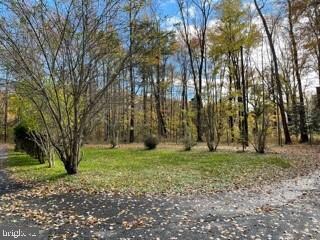 4385 Middletown Rd, Pomfret, MD 20675 - photo 5