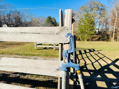 627 Neel School Rd, Danville, AL 35619 - photo 4