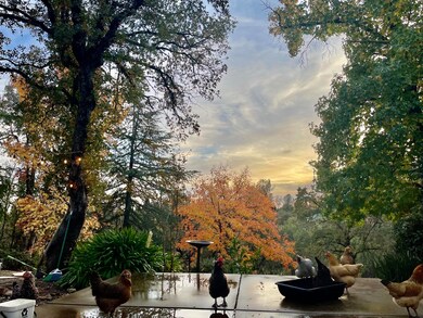 3651 Wasatch Dr, Redding, CA 96001 - photo 5