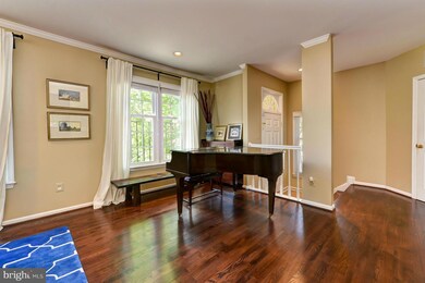 5909 Bloomingdale Terrace, Rockville, MD 20852 - photo 4
