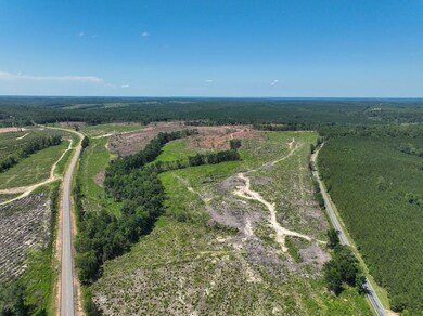 0 Hwy 112 unit 25649022, Toomsboro, GA 31090 - photo 4