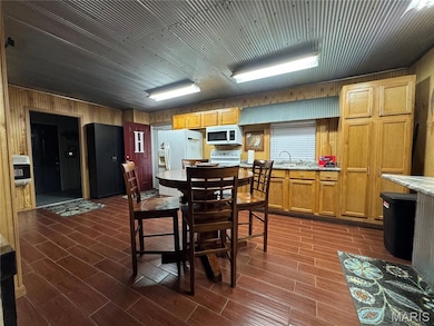 252 Lake Forest Rd, Wappapello, MO 63966 - photo 3