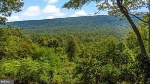 578 Otter Creek Dr, Gerrardstown, WV 25420 - photo 2