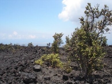 92-2678 Oceanview Pkwy, Ocean View, HI 96737 - photo 3