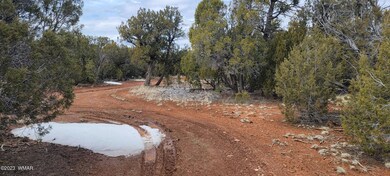 0 Power Line Rd unit 244852, Overgaard, AZ 85933 - photo 2