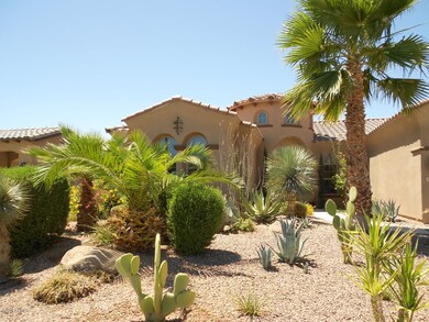DESERT LANDSCAPING