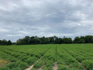 0 Sandspur Loop, Baconton, GA 31716 - photo 2