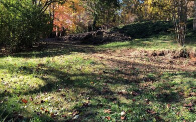 Additional View
