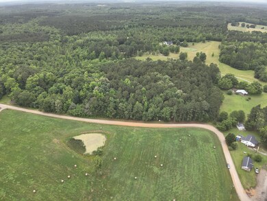 38 Bridges Rd, Carlton, GA 30627 - photo 5