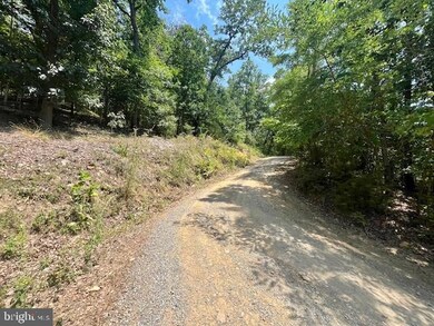 0 River View Place unit VAPA2003814, Shenandoah, VA 22849 - photo 4